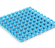 Egg Tray Blue QUAIL EGG Standard