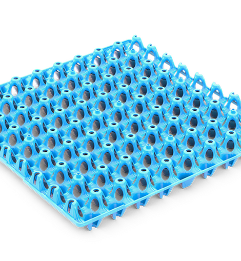 Egg Tray Blue QUAIL EGG Standard