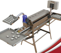 Egg wash machine, 4000 eph