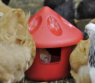OSPREY GRIT Feed Station