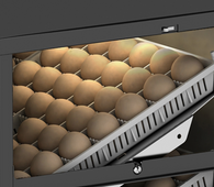 Rcom MARU Multi Basket ASM (single)