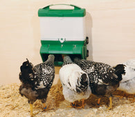 Wise Feeder Additional SILO