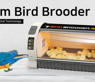 RCOM BIRD BROODER 90 - ICU