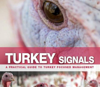 Turkey Signals