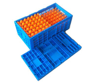 Amazing Egg Crate & 12 x Egg Tray Pack