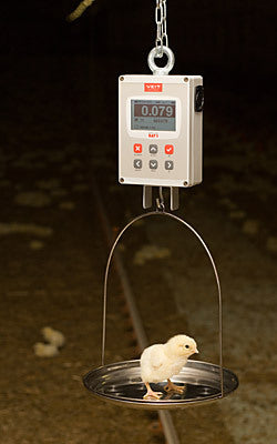 BAT 1 Manual Poultry Scale — Farm Weigh Systems Inc.